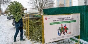 Пункт приема елок Малый.jpeg