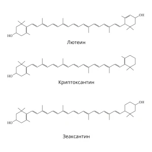 Структурные формулы ксантофиллов