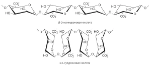 Структурные формулы альгиновых кислот