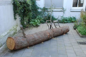 Скамья «Tree-Trunk». 1999. Дизайнер Юрген Бей. Дизайнерское бюро Droog