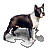 Йытă