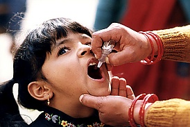 Oral Polio Vaccine.jpg