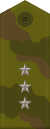 RAF A W2SenPrap 2010field.svg
