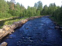 Nägöala vastuvirdah