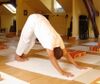 5adho mukha shvanasana.JPG