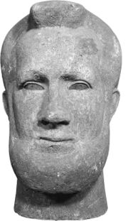 12721044.jpeg