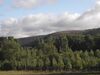 Chopera del río bernesga.jpg