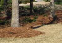 Mulch2.jpg