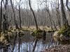 Plagefenn-wp-001.jpg