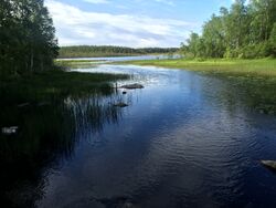 Nägöala vastuvirdah