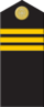 IRN BootsmannMaat 1917.png