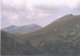 Артовкс