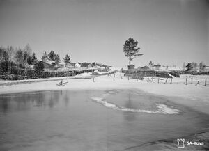 Ruogojärvi