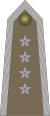 Army-POL-OR-09a.svg