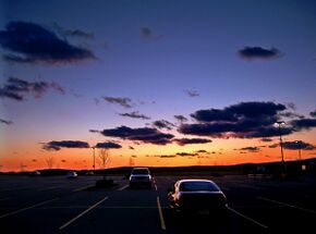 Flickr - Nicholas T - Gradation (1).jpg