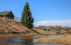 Шондовичи Ленинградская область.jpg