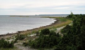 Артовкс