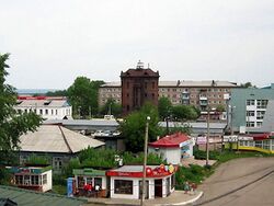Vezičuhunduz-muštnik (2013, om saudud vl 1906)