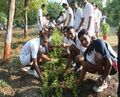 Indijan voin-meren laivišt — Mail'man ümbrišton päiv — voz' 2016