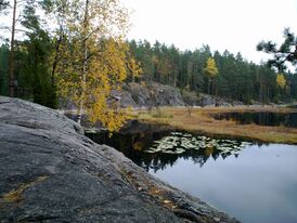 Kanzalline puusto Nuuksio