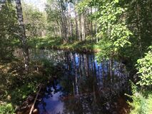 Nägöala vastuvirdah