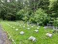 Mass grave at Nagornoe cemetery-2.jpg