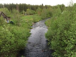 Nägöala avtosillaspäi