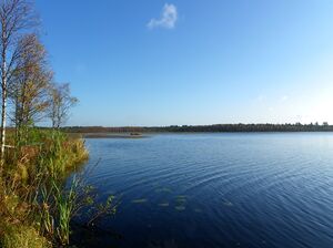 Šapšjärvi