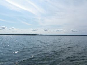 Urojärvi