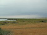 Korgalzhinskiy Nature Reserve.JPG