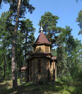 Puine časoun' Novik-sarel (vn 2009 nägu)