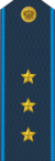 RAF AF W2SenPrap 2010.png