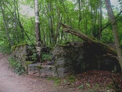Suomen pertin jändused Nahimovskoje-järven randal (Ovs'anoje-pos'olk)