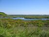 Srebarna-Lake.jpg