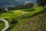 Paddy fields at Ziro, Arunachal Pradesh.jpg