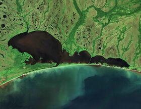 Lake Nevskoye 2022-08-10 Sentinel-2 L2A Highlight Optimized Natural Color.jpg