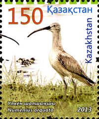 Stamps of Kazakhstan, 2013-63.jpg