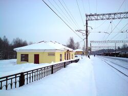 Kos'kenaluine-raudtestancii i sen sauvuz vl 2011