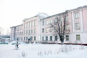 Leninsk Kuzneckijan kaivuztehnine tehnikum (2013, ende kolledž)