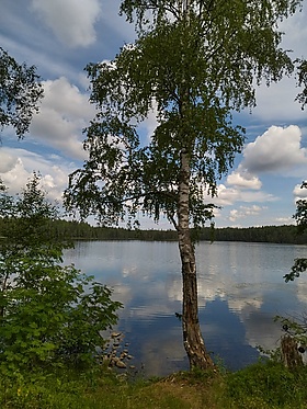 Оз. Галват-Селлянъярви Олонецкий район.jpg