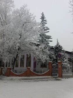 Здание Тувинской филармонии.jpg