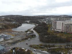 Järvut lidnas