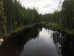Kuva joksmusen mödhe
