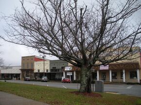 Dadeville Alabama.JPG