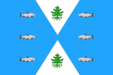 Flagu