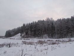 Puišt (2013), amuižen lidnan sijaduz