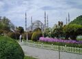 Blue mosque2.jpg