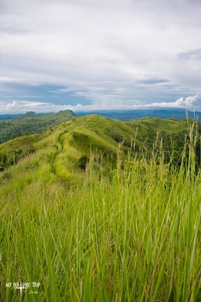 Bondari Hill.jpg