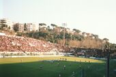 Stadio Flaminio a Roma.jpg