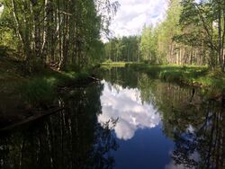 Nägöala vastuvirdah
